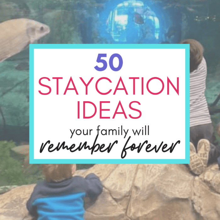 Staycations